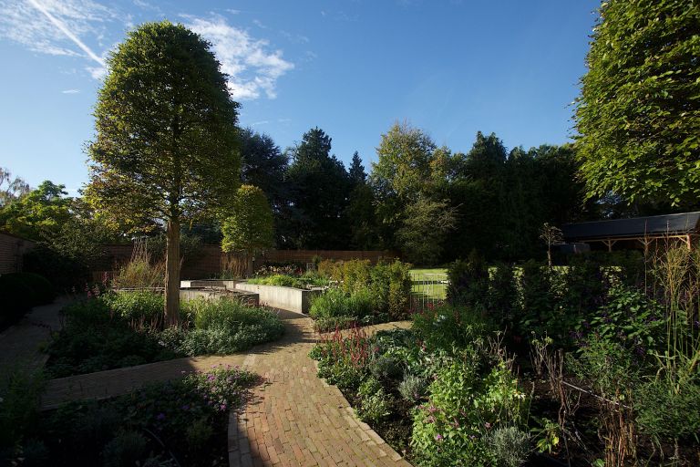 Specimen Beech (Beehive)