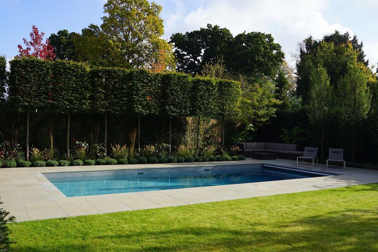 Cubed Hornbeams on Stems