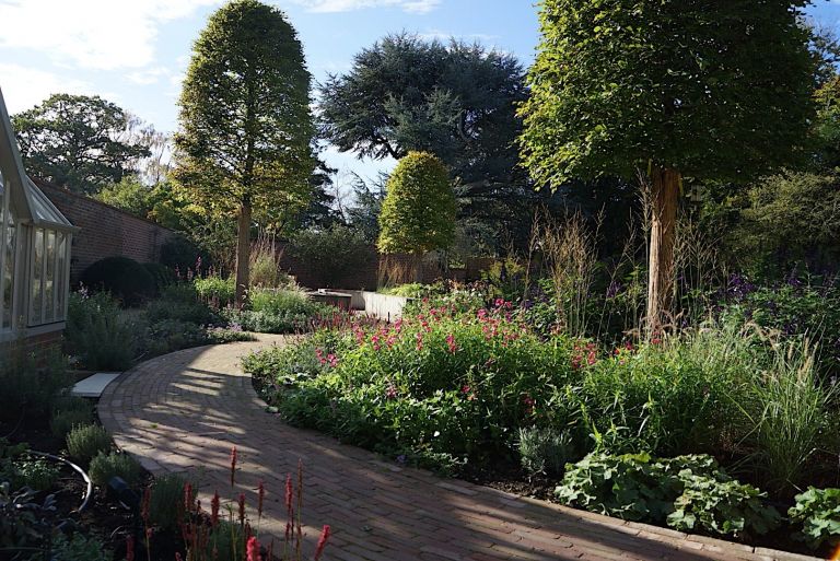 Specimen Beech (Beehive)